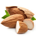 Nutritious nuts raw almond nuts in shell